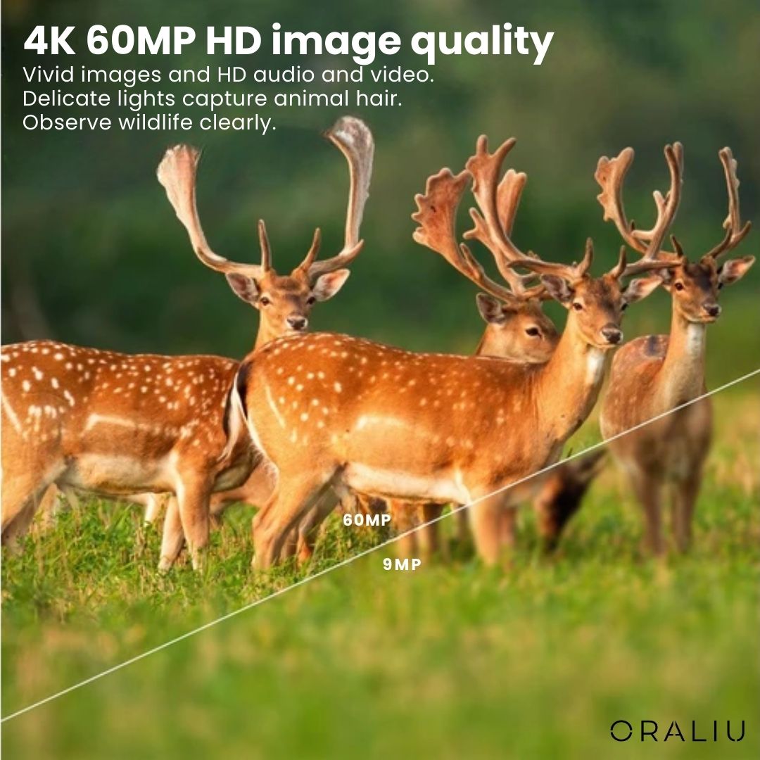 4K Ultra HD Wildlife Camera with 60MP and App Control - view 10