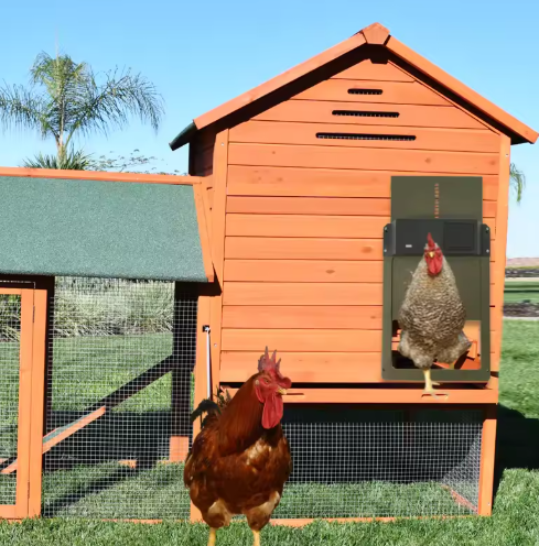 Automatic Chicken Coop Door System with Solar/Battery Options - view 1