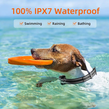 Waterproof & Rechargeable 1000m Dog Training E-Collar - view 4
